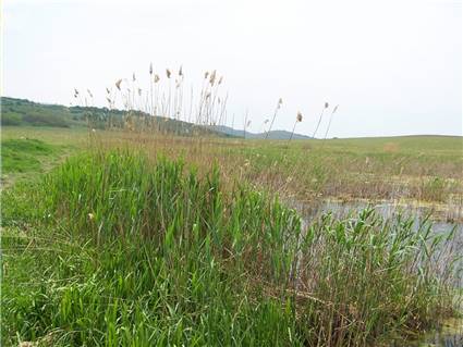 Balta de la Oarda de Sus